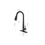 Single Handle Kitchen Sink Faucet with Pull Down Sprayer