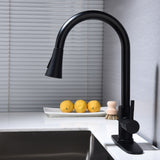 Stainless Steel Single Handle Kitchen Sink Faucet with Pull Down Sprayer