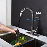 Stainless Steel Single Handle Kitchen Sink Faucet with Pull Down Sprayer