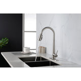Single Handle Kitchen Sink Faucet with Pull Down Sprayer
