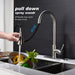 Stainless Steel Single Handle Kitchen Sink Faucet with Pull Down Sprayer