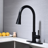 Stainless Steel Single Handle Kitchen Sink Faucet with Pull Down Sprayer