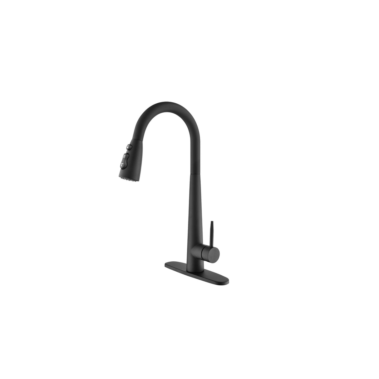 Single Handle Kitchen Sink Faucet with Pull Down Sprayer