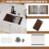 Stainless Steel Sink 16-Gauge Single Bowl Undermount Workstation Kitchen Sink with Accessories in Nano Brushed