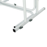 Stand Alone Toilet Safety Grab Rail with Magazine Rack