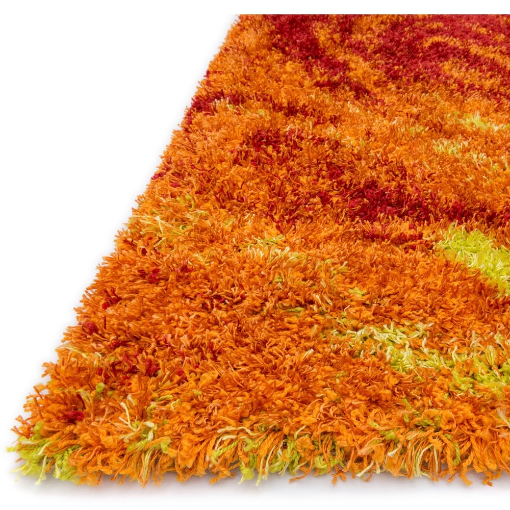 Alexander Home Stella Fire Shag Area Rug