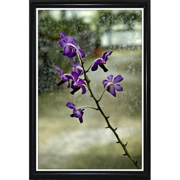 Stem Of Purple-HARFLO59785 Print 25"x16.5" by Harold Silverman - Flowers