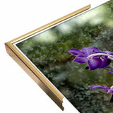 Stem Of Purple-HARFLO59785 Print 25"x16.5" by Harold Silverman - Flowers