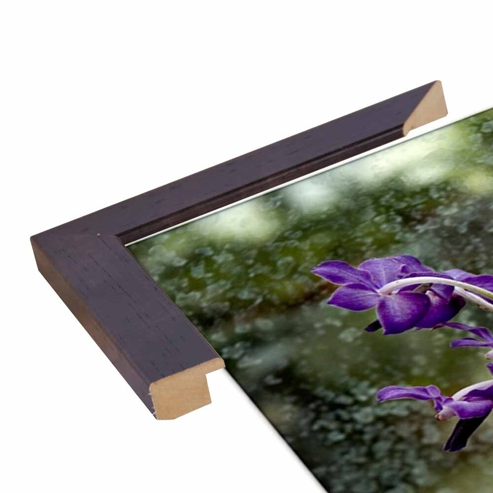 Stem Of Purple-HARFLO59785 Print 25"x16.5" by Harold Silverman - Flowers