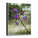 Stem Of Purple-HARFLO59785 Print 25"x16.5" by Harold Silverman - Flowers