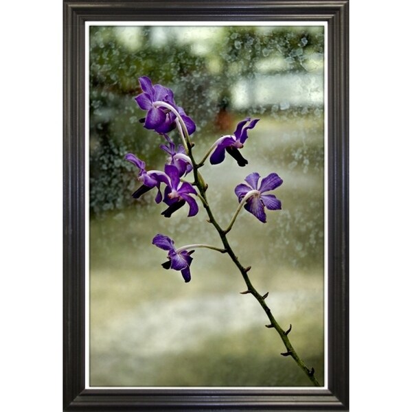 Stem Of Purple-HARFLO59785 Print 25"x16.5" by Harold Silverman - Flowers