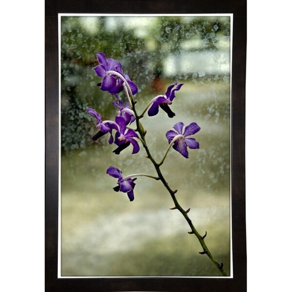 Stem Of Purple-HARFLO59785 Print 25"x16.5" by Harold Silverman - Flowers