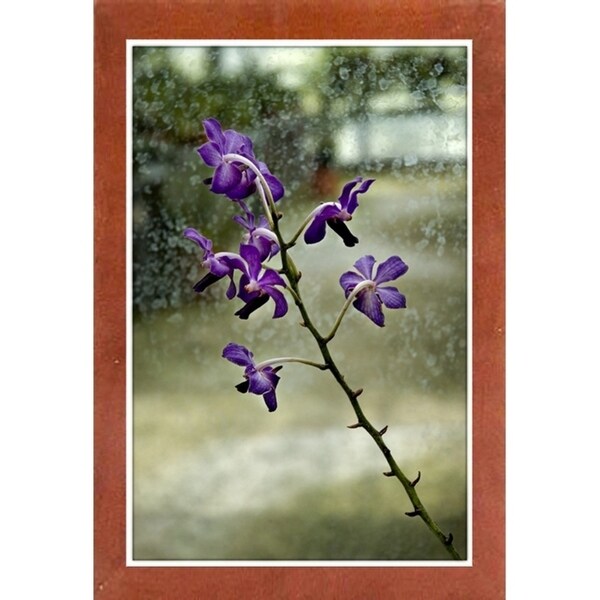Stem Of Purple-HARFLO59785 Print 25"x16.5" by Harold Silverman - Flowers