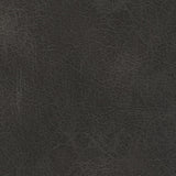 Stephan Charcoal Pillow Top Arms Power^2 Glider Recliner
