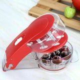 Stone Fruit Pitter Seed Remover