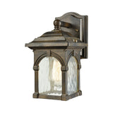 Stradelli 1-light Outdoor Wall Sconce