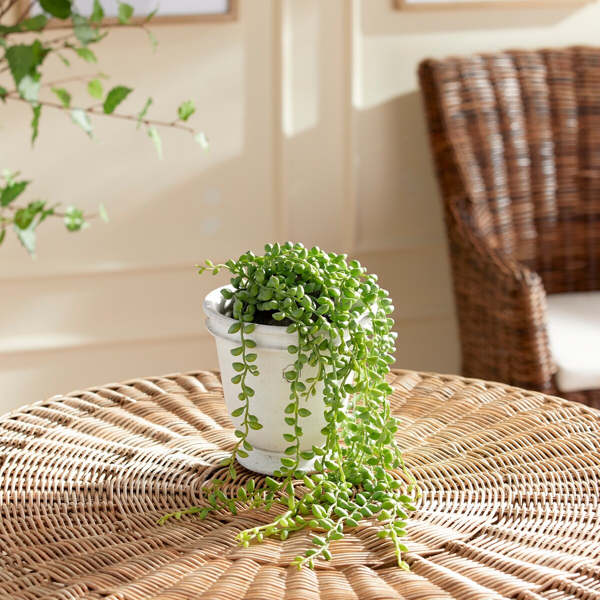 String Of Pearls Drop-In 26" - Green