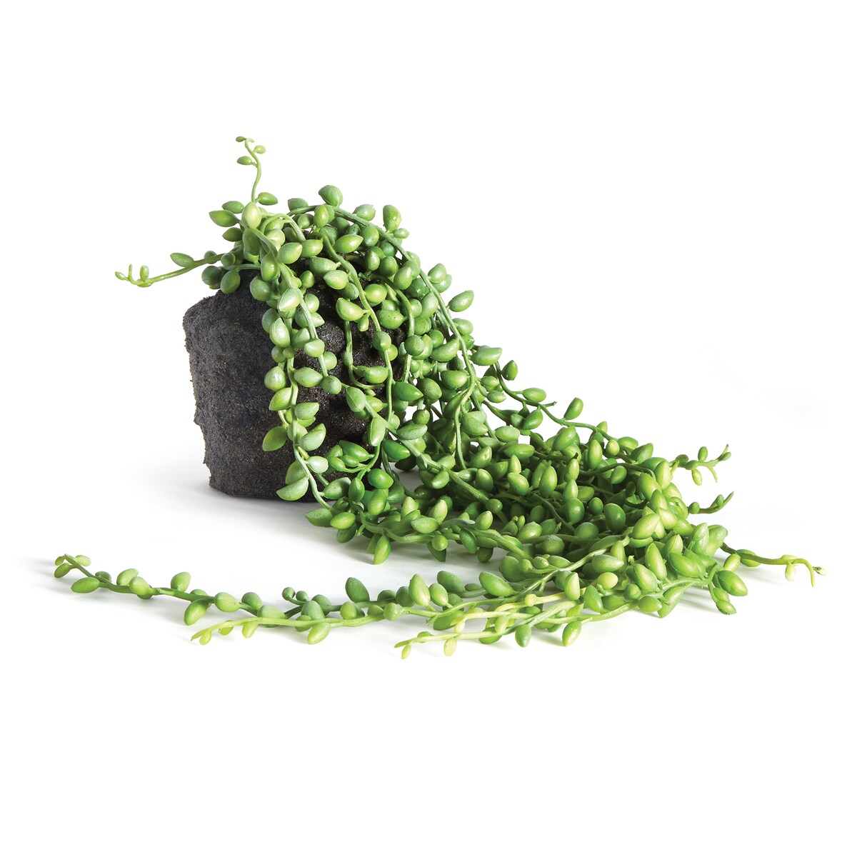 String Of Pearls Drop-In 26" - Green