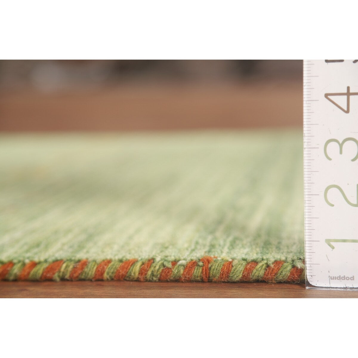 Striped Green Gabbeh Oriental Accent Rug Wool Carpet - 2'9" x 5'9"