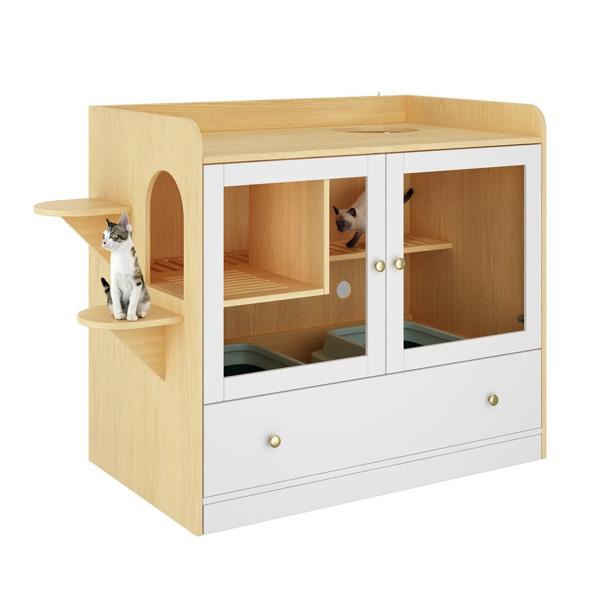 Stylish Cat Furniture Cat Litter Box Enclosure and Versatile Cat House