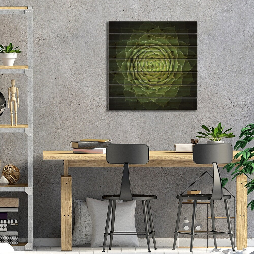 Succulent Print On Wood by Victor Mozqueda - Multi-Color