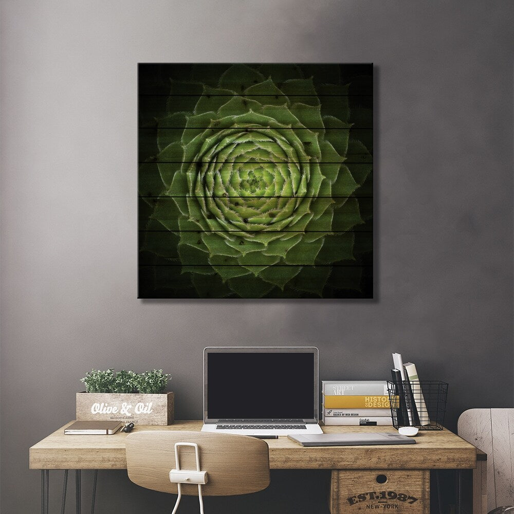 Succulent Print On Wood by Victor Mozqueda - Multi-Color