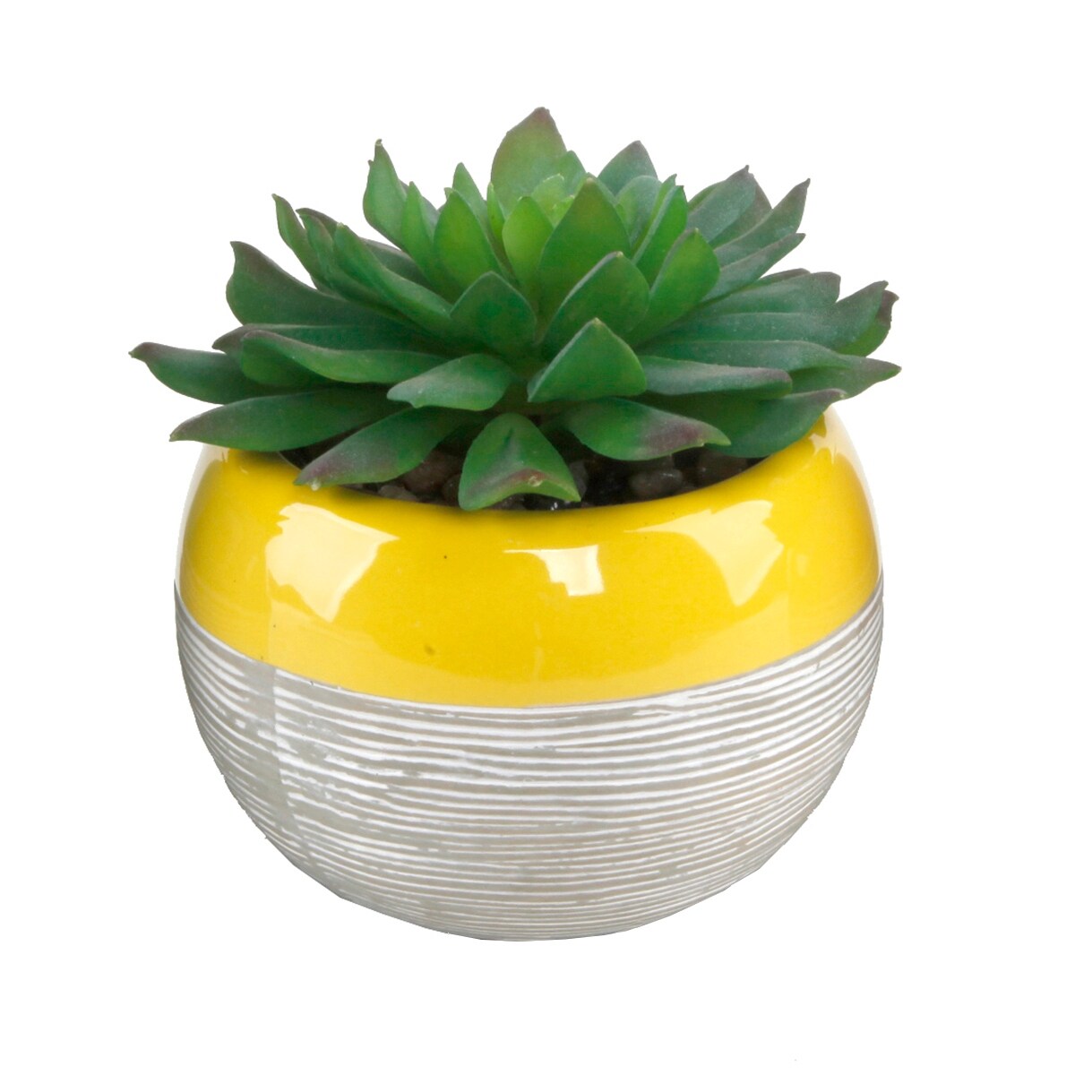 Succulent in Two tone lines pattern ceramic pot ,Teal - ONE-SIZE