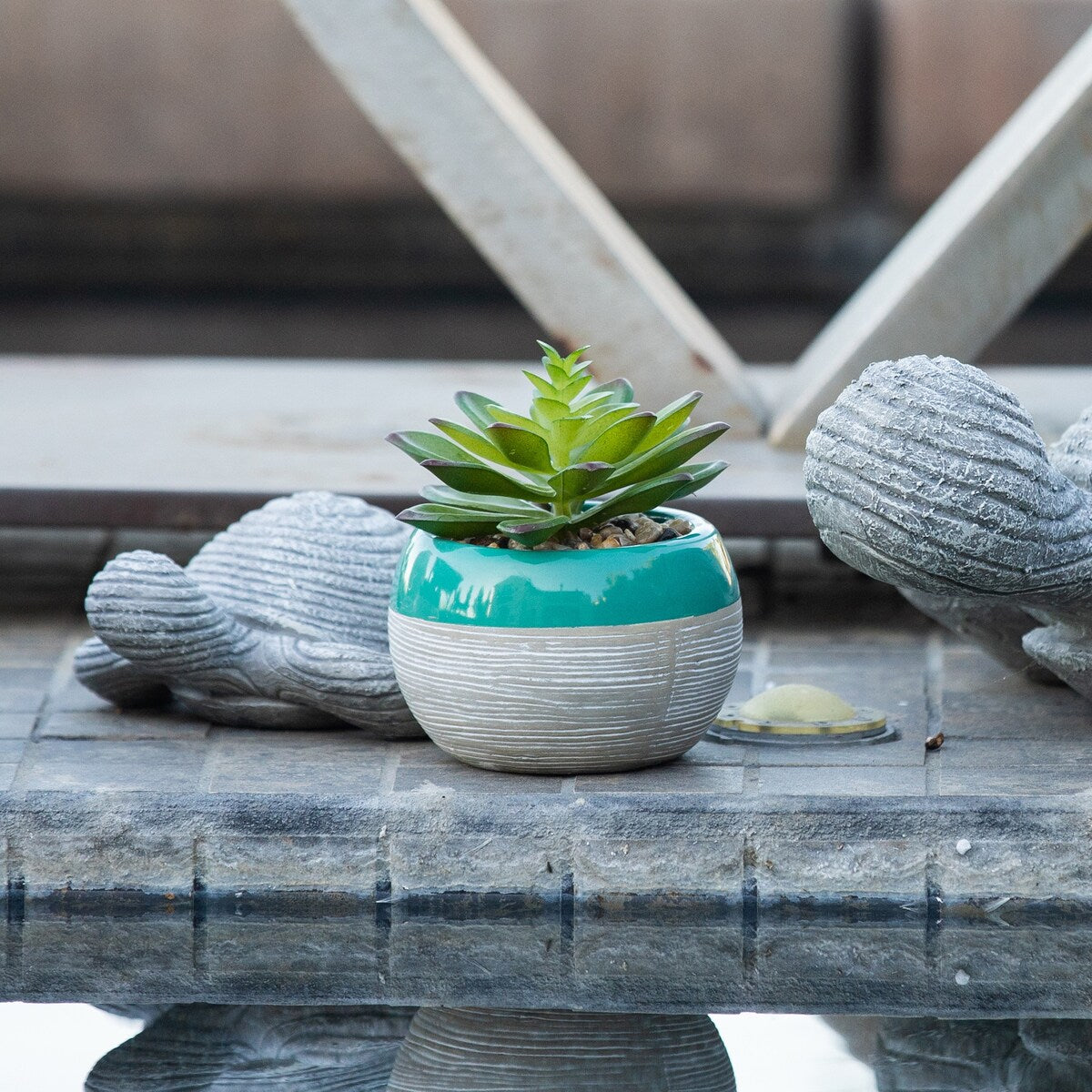 Succulent in Two tone lines pattern ceramic pot ,Teal - ONE-SIZE