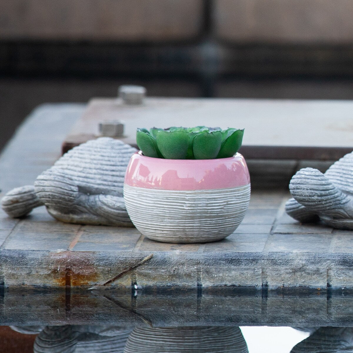 Succulent in Two tone lines pattern ceramic pot ,Teal - ONE-SIZE