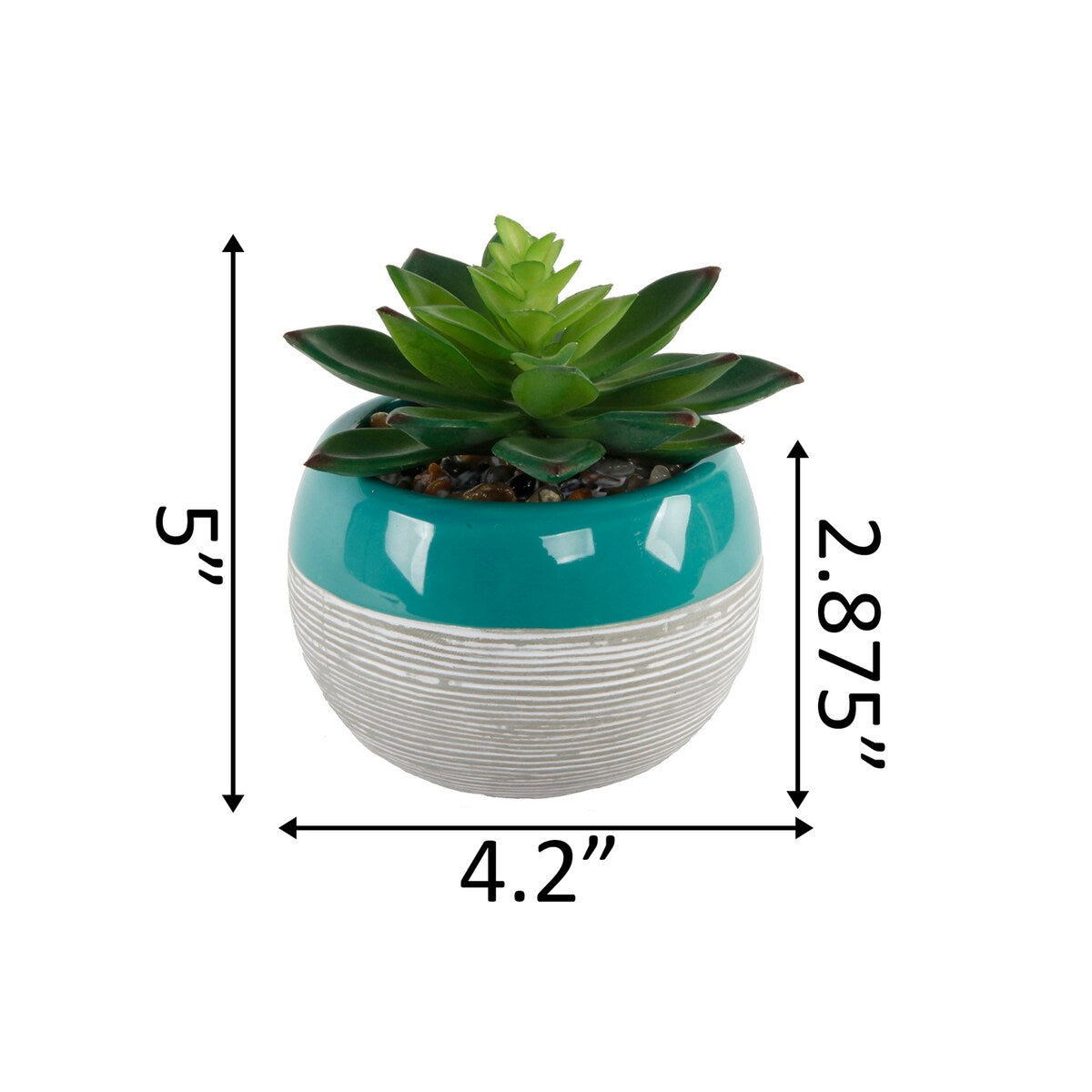 Succulent in Two tone lines pattern ceramic pot ,Teal - ONE-SIZE