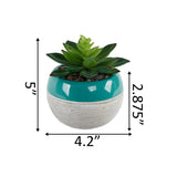 Succulent in Two tone lines pattern ceramic pot ,Teal - ONE-SIZE