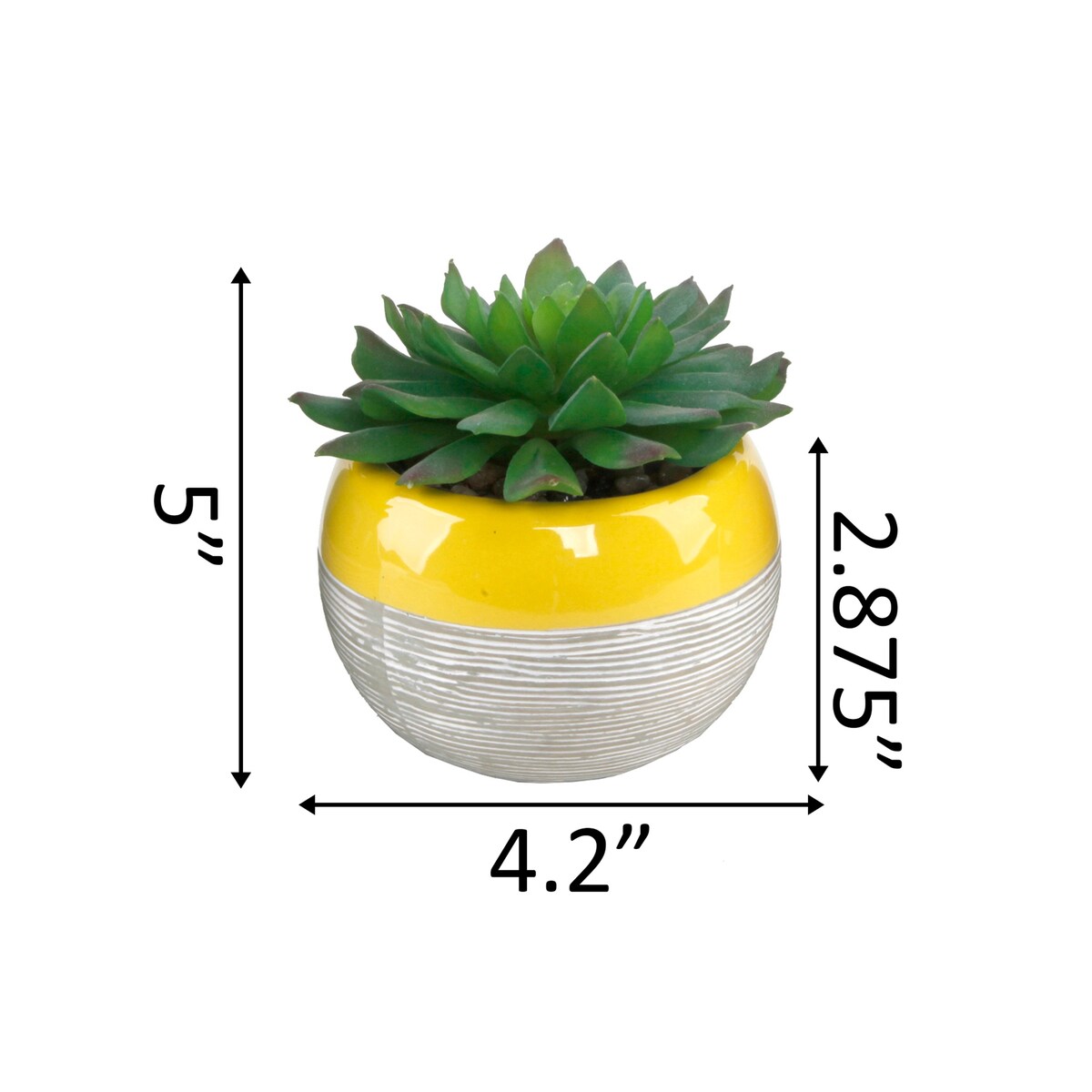 Succulent in Two tone lines pattern ceramic pot ,Teal - ONE-SIZE