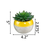 Succulent in Two tone lines pattern ceramic pot ,Teal - ONE-SIZE