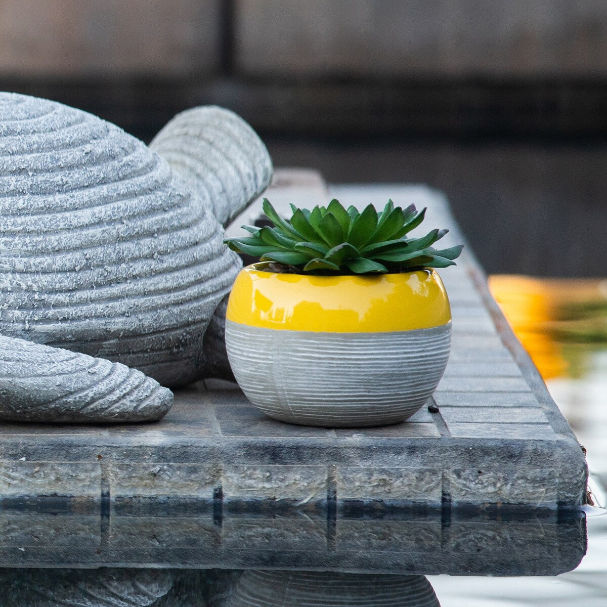 Succulent in Two tone lines pattern ceramic pot ,Teal - ONE-SIZE