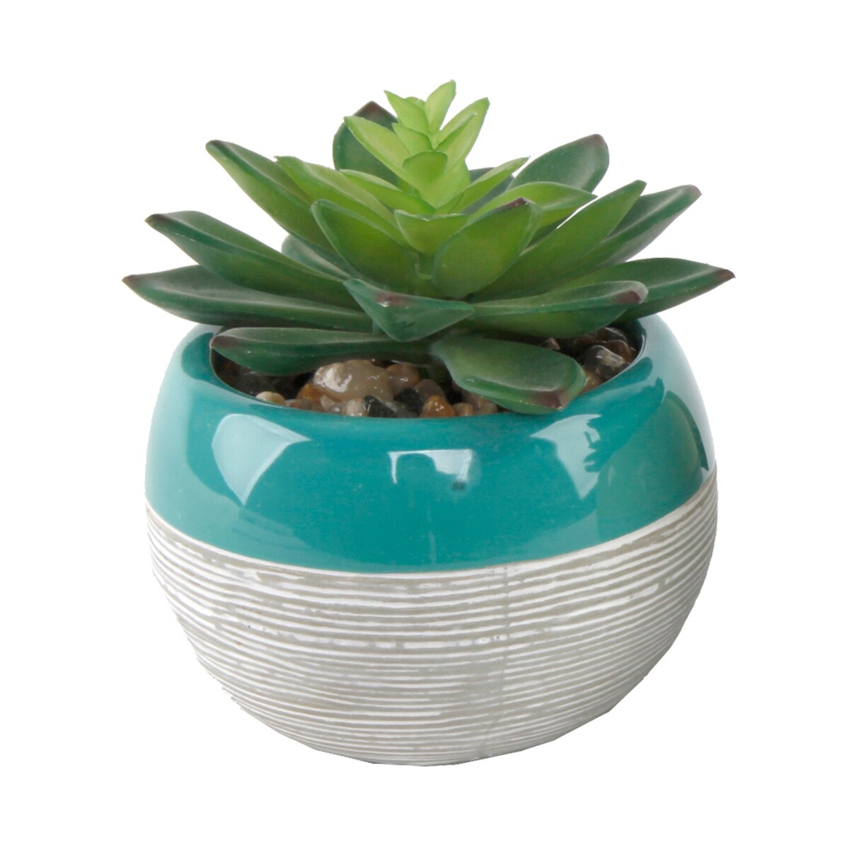 Succulent in Two tone lines pattern ceramic pot ,Teal - ONE-SIZE