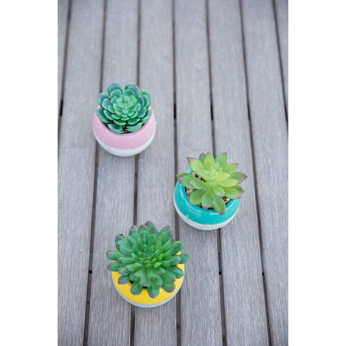 Succulent in Two tone lines pattern ceramic pot ,Teal - ONE-SIZE