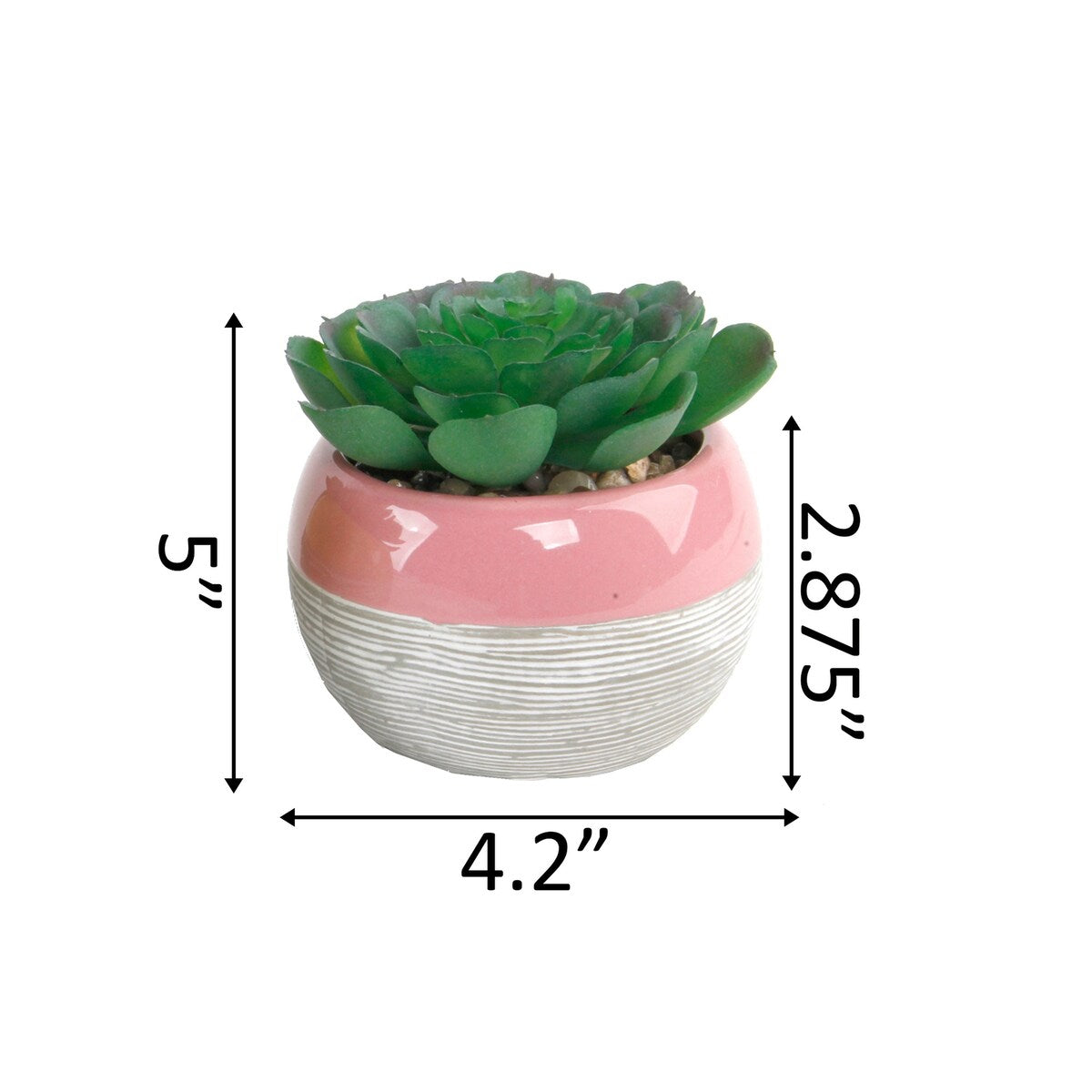 Succulent in Two tone lines pattern ceramic pot ,Teal - ONE-SIZE