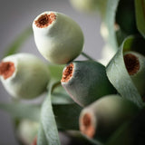 Sullivans 16" Artificial Berry Pod Bush Set of 3