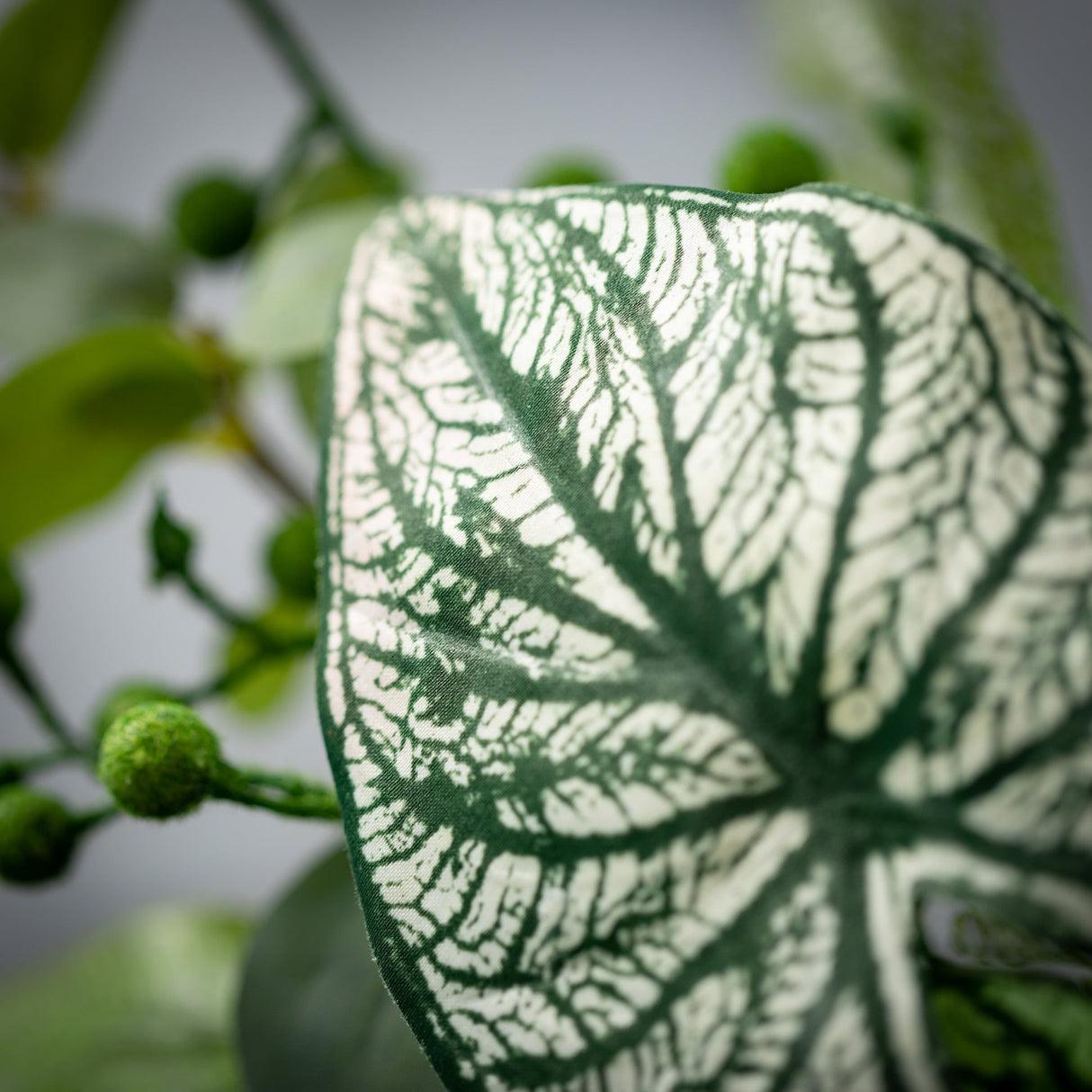Sullivans Artificial Caladium Eucalyptus Wreath; Green