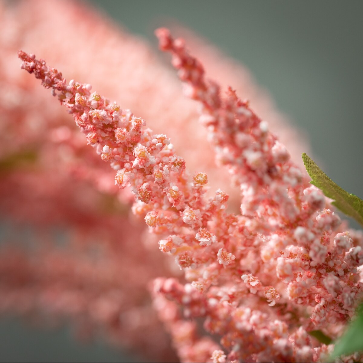 Sullivans Artificial Pale Pink Astilbe Stem