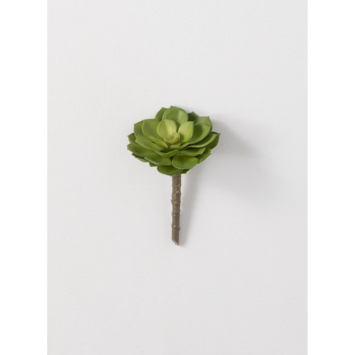 Sullivans Artificial Succulent Pick 5"H Green - 3.5"L x 3.5"W x 5"H