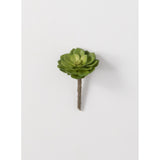 Sullivans Artificial Succulent Pick 5"H Green - 3.5"L x 3.5"W x 5"H