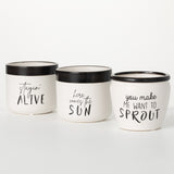 Sullivans Typography Planter Set of 3, 4.5"H White - 5.25"L x 5.25"W x 4.5"H