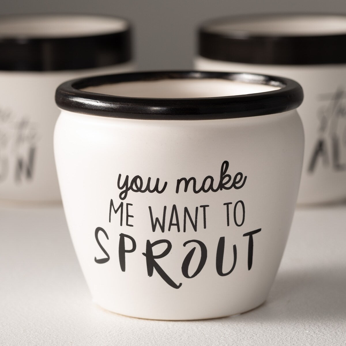 Sullivans Typography Planter Set of 3, 4.5"H White - 5.25"L x 5.25"W x 4.5"H