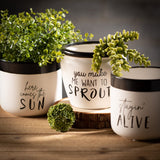 Sullivans Typography Planter Set of 3, 4.5"H White - 5.25"L x 5.25"W x 4.5"H