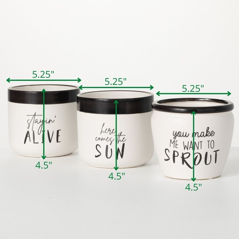 Sullivans Typography Planter Set of 3, 4.5"H White - 5.25"L x 5.25"W x 4.5"H