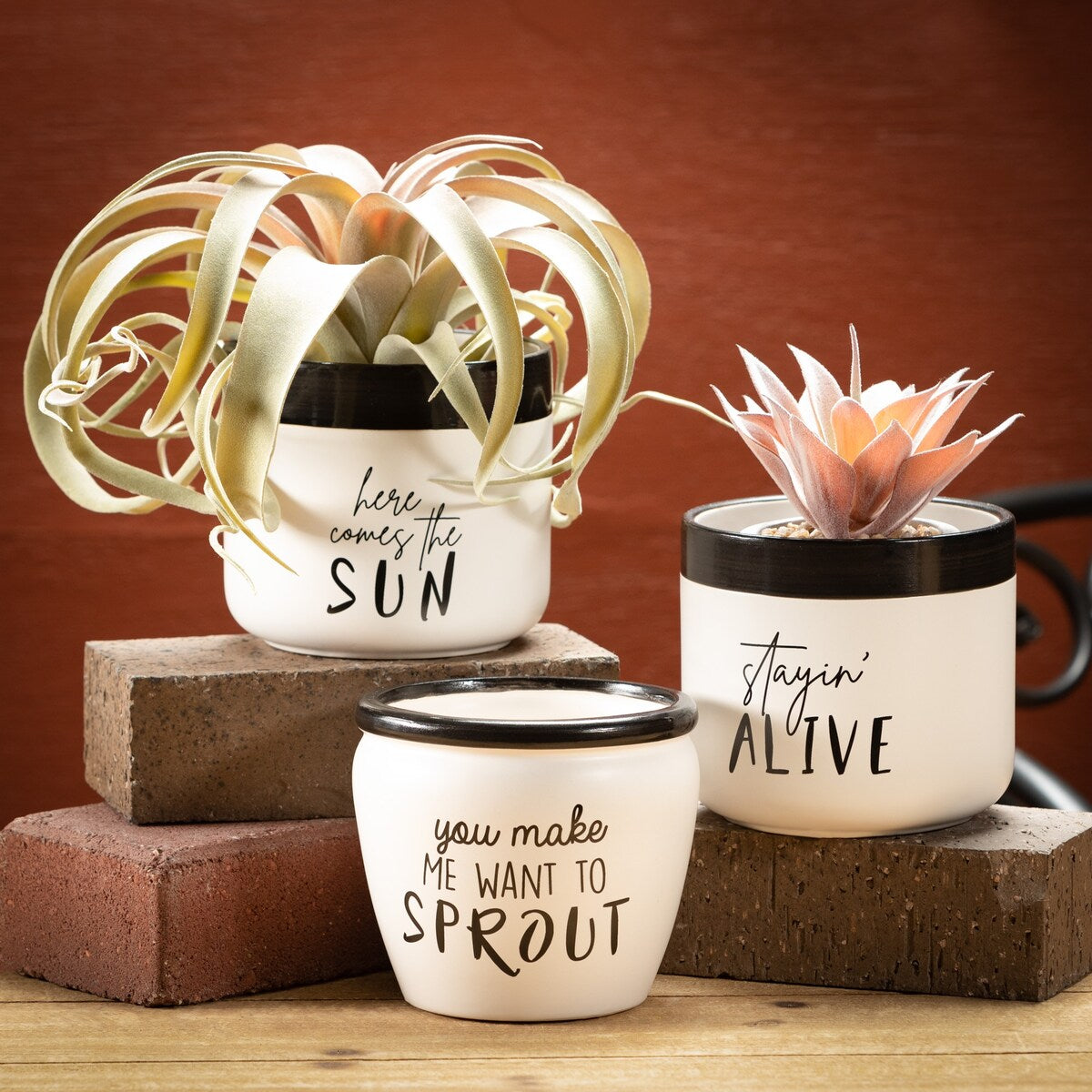 Sullivans Typography Planter Set of 3, 4.5"H White - 5.25"L x 5.25"W x 4.5"H
