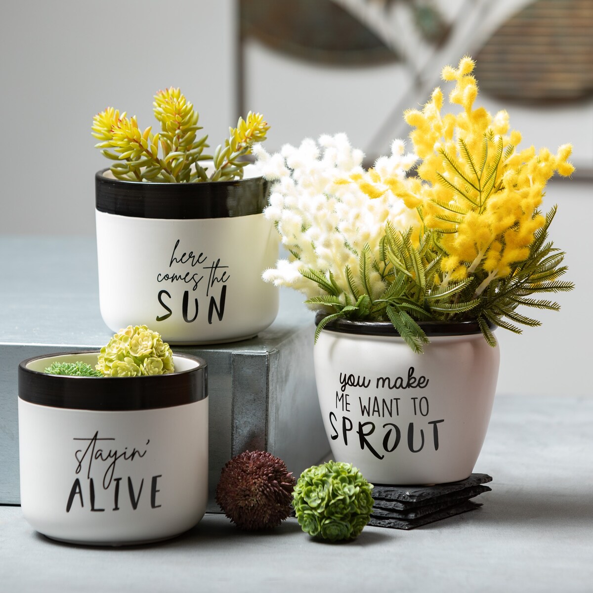 Sullivans Typography Planter Set of 3, 4.5"H White - 5.25"L x 5.25"W x 4.5"H