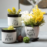 Sullivans Typography Planter Set of 3, 4.5"H White - 5.25"L x 5.25"W x 4.5"H