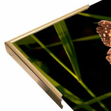 Summer 2012 #211-GORSEM110736 Print 7.5"x12" by Gordon Semmens